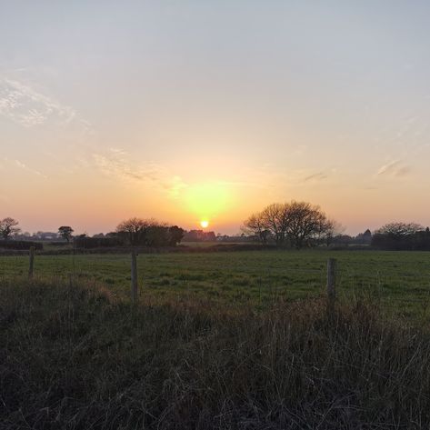 Sunset field